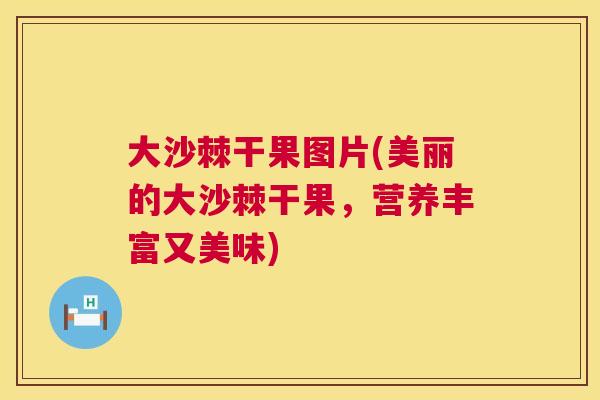 大沙棘干果图片(美丽的大沙棘干果,营养丰富又美味)