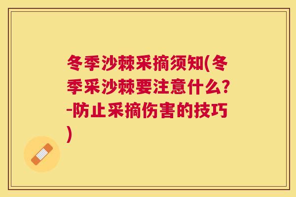 冬季沙棘采摘须知(冬季采沙棘要注意什么？-防止采摘伤害的技巧)