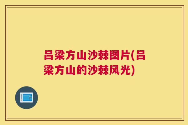 吕梁方山沙棘图片(吕梁方山的沙棘风光)