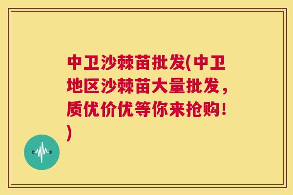 中卫沙棘苗批发(中卫地区沙棘苗大量批发,质优价优等你来抢购!) 中卫沙棘苗批发(中卫地区沙棘苗大量批发,质优价优等你来抢购!)