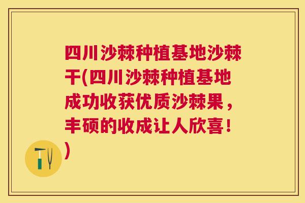 四川沙棘种植基地沙棘干(四川沙棘种植基地成功收获优质沙棘果，丰硕的收成让人欣喜！)