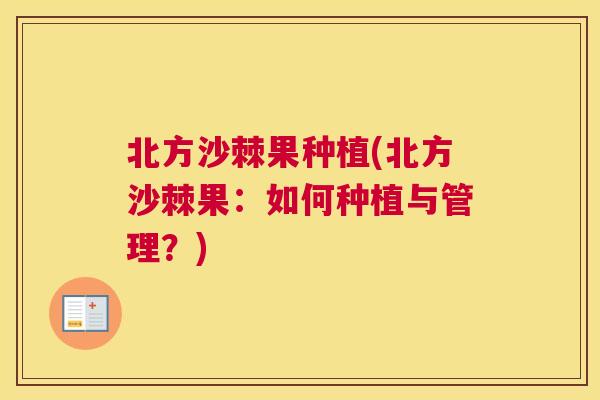 北方沙棘果种植(北方沙棘果：如何种植与管理？)