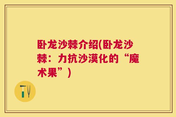 卧龙沙棘介绍(卧龙沙棘：力抗沙漠化的“魔术果”)