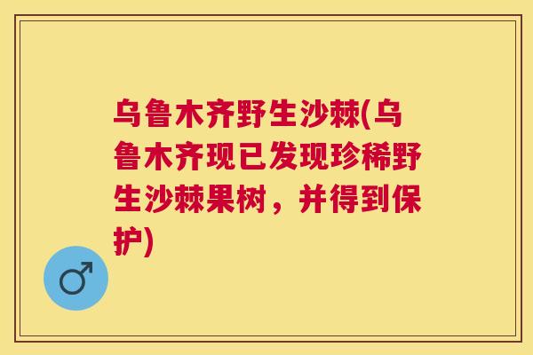 乌鲁木齐野生沙棘(乌鲁木齐现已发现珍稀野生沙棘果树，并得到保护)