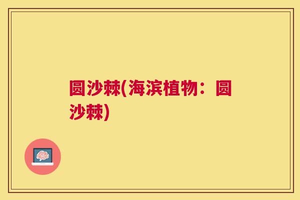 圆沙棘(海滨植物：圆沙棘)
