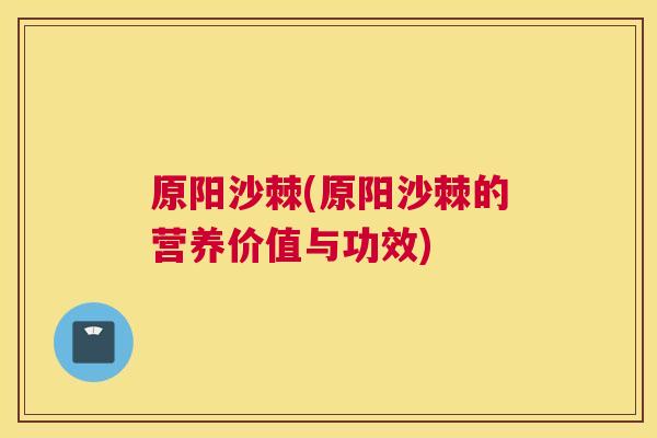 原阳沙棘(原阳沙棘的营养价值与功效)