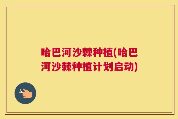 哈巴河沙棘种植(哈巴河沙棘种植计划启动)