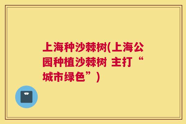 上海种沙棘树(上海公园种植沙棘树 主打“城市绿色”)