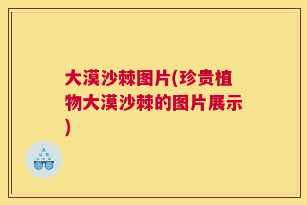 大漠沙棘图片(珍贵植物大漠沙棘的图片展示)