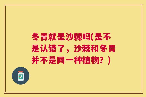 冬青就是沙棘吗(是不是认错了,沙棘和冬青并不是同一种植物?)