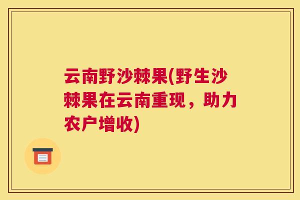 云南野沙棘果(野生沙棘果在云南重现，助力农户增收)