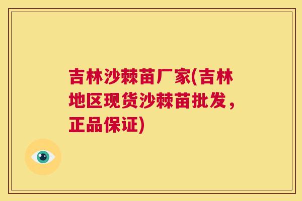 吉林沙棘苗厂家(吉林地区现货沙棘苗批发,正品保证)