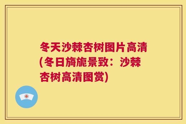冬天沙棘杏树图片高清(冬日旖旎景致：沙棘杏树高清图赏)