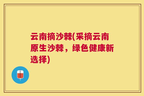 云南摘沙棘(采摘云南原生沙棘,绿色健康新选择)