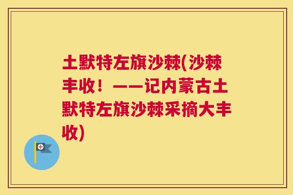 土默特左旗沙棘(沙棘丰收!——记内蒙古土默特左旗沙棘采摘大丰收)