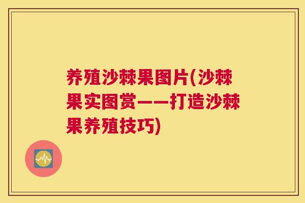 养殖沙棘果图片(沙棘果实图赏——打造沙棘果养殖技巧)