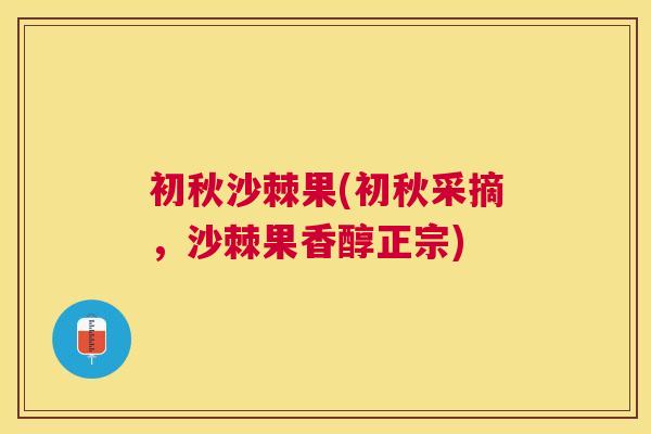 初秋沙棘果(初秋采摘，沙棘果香醇正宗)
