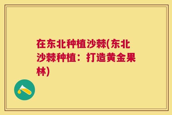 在东北种植沙棘(东北沙棘种植：打造黄金果林)