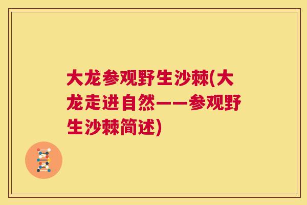 大龙参观野生沙棘(大龙走进自然——参观野生沙棘简述)