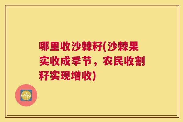 哪里收沙棘籽(沙棘果实收成季节，农民收割籽实现增收)