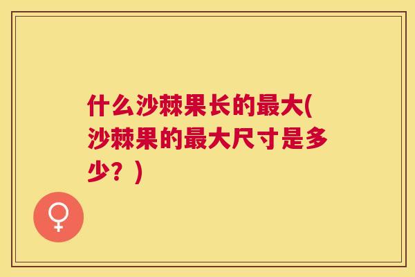 什么沙棘果长的最大(沙棘果的最大尺寸是多少？)