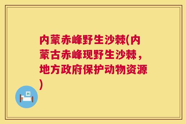 内蒙赤峰野生沙棘(内蒙古赤峰现野生沙棘，地方政府保护动物资源)