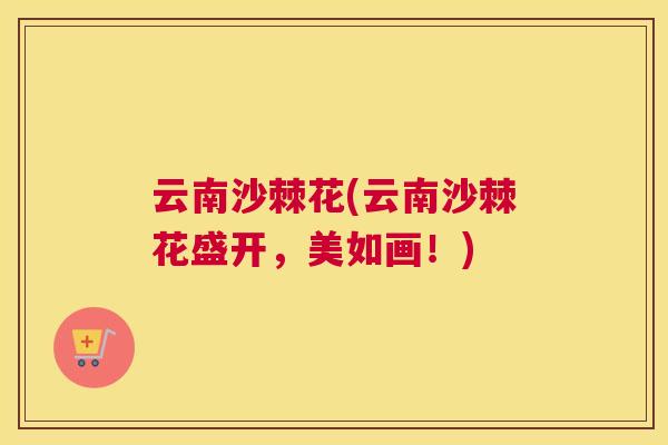 云南沙棘花(云南沙棘花盛开，美如画！)