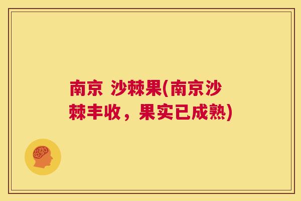 南京 沙棘果(南京沙棘丰收，果实已成熟)