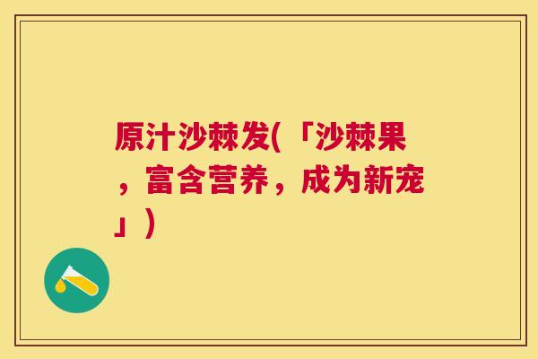原汁沙棘发(「沙棘果，富含营养，成为新宠」)