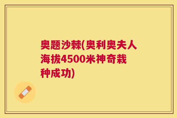 奥题沙棘(奥利奥夫人海拔4500米神奇栽种成功)