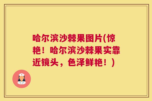 哈尔滨沙棘果图片(惊艳！哈尔滨沙棘果实靠近镜头，色泽鲜艳！)
