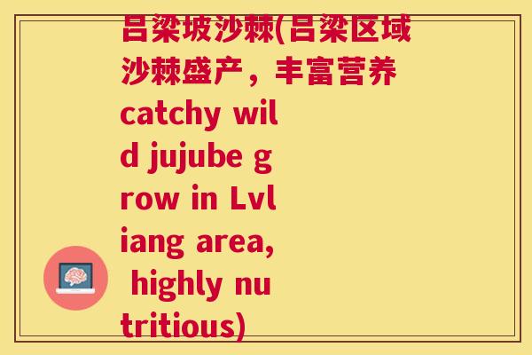 吕梁坡沙棘(吕梁区域沙棘盛产，丰富营养 catchy wild jujube grow in Lvliang area, highly nutritious)