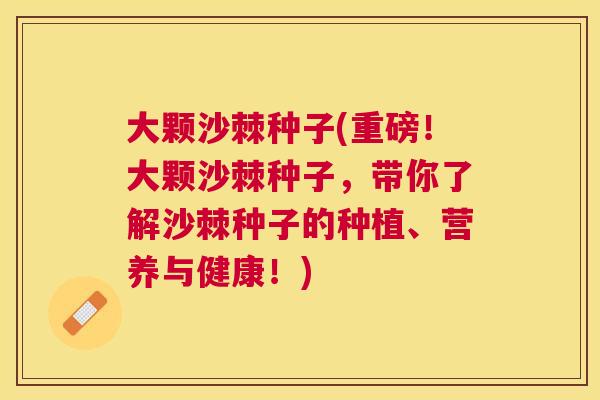 大颗沙棘种子(重磅！大颗沙棘种子，带你了解沙棘种子的种植、营养与健康！)