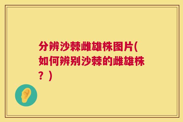 分辨沙棘雌雄株图片(如何辨别沙棘的雌雄株？)
