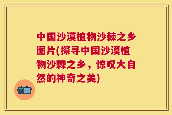 中国沙漠植物沙棘之乡图片(探寻中国沙漠植物沙棘之乡，惊叹大自然的神奇之美)