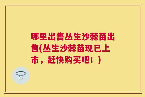 哪里出售丛生沙棘苗出售(丛生沙棘苗现已上市，赶快购买吧！)