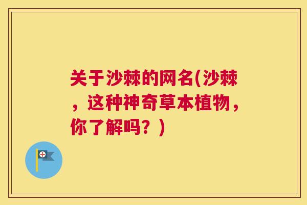 关于沙棘的网名(沙棘，这种神奇草本植物，你了解吗？)
