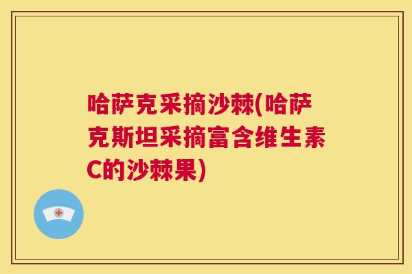 哈萨克采摘沙棘(哈萨克斯坦采摘富含维生素C的沙棘果)