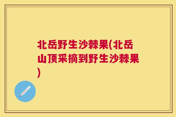 北岳野生沙棘果(北岳山顶采摘到野生沙棘果)