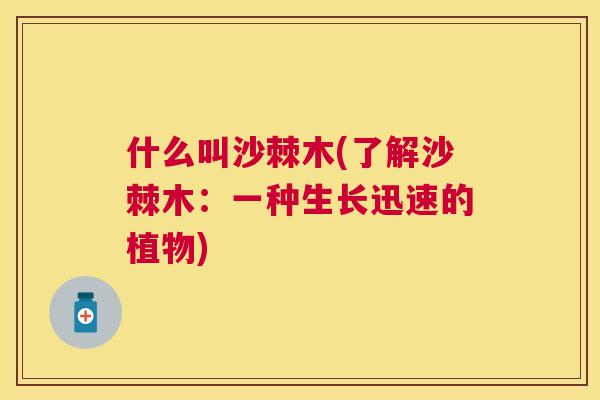 什么叫沙棘木(了解沙棘木：一种生长迅速的植物)