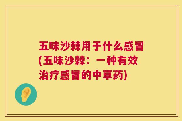 五味沙棘用于什么感冒(五味沙棘：一种有效治疗感冒的中草药)