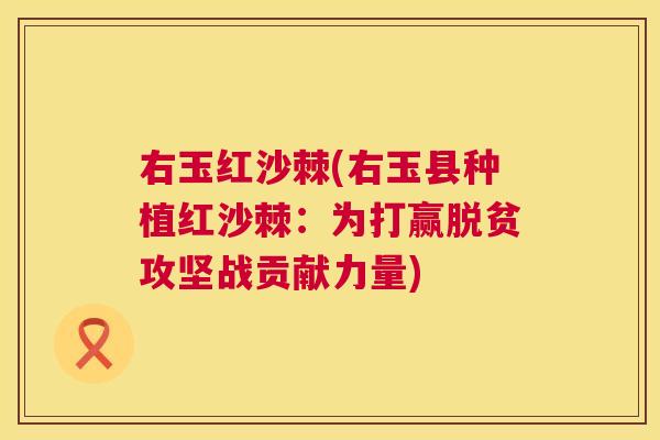 右玉红沙棘(右玉县种植红沙棘：为打赢脱贫攻坚战贡献力量)