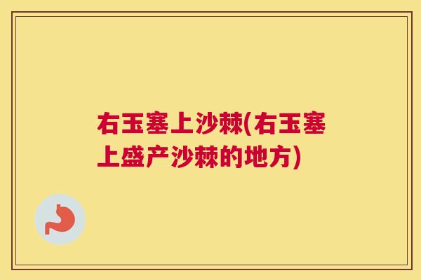右玉塞上沙棘(右玉塞上盛产沙棘的地方)