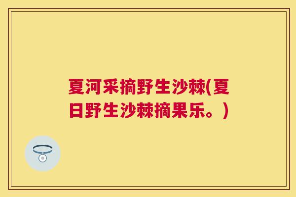 夏河采摘野生沙棘(夏日野生沙棘摘果乐。)