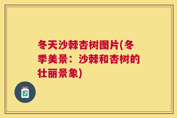 冬天沙棘杏树图片(冬季美景：沙棘和杏树的壮丽景象)