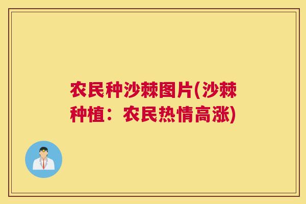农民种沙棘图片(沙棘种植：农民热情高涨)