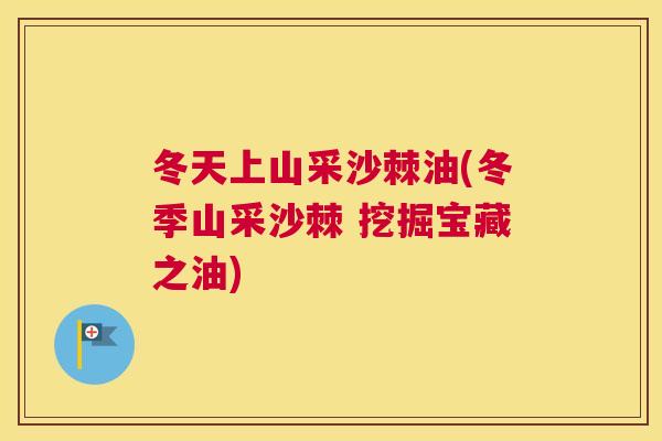 冬天上山采沙棘油(冬季山采沙棘 挖掘宝藏之油)