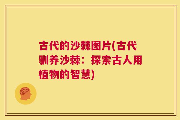 古代的沙棘图片(古代驯养沙棘：探索古人用植物的智慧)
