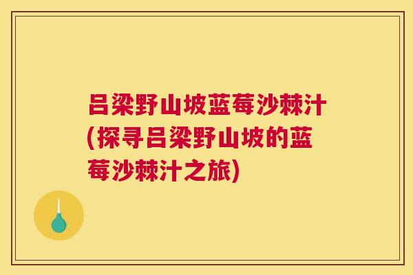 吕梁野山坡蓝莓沙棘汁(探寻吕梁野山坡的蓝莓沙棘汁之旅)