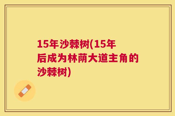 15年沙棘树(15年后成为林荫大道主角的沙棘树)